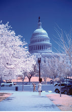 Load image into Gallery viewer, Cherry Blossom Postcards: (Thirty 4x6 inch Cards) - Case of 100