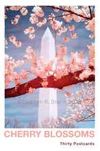 Load image into Gallery viewer, Cherry Blossom Postcards: (Thirty 4x6 inch Cards) - Case of 100